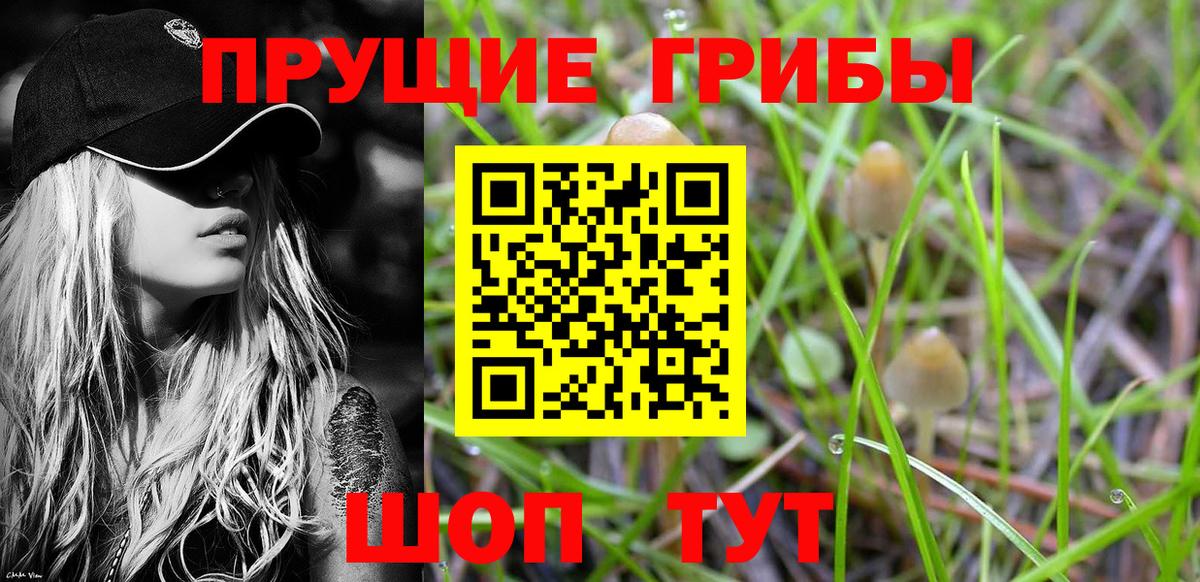 Галлюциногенные грибы мухоморы Орехово-Зуево