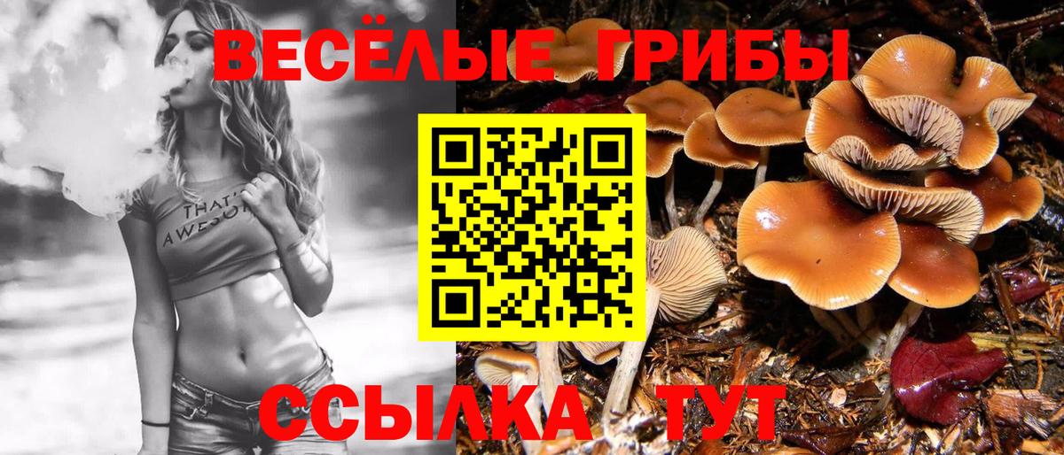 Орехово-Зуево  Галлюциногенные грибы мицелий  Вход с VPN 